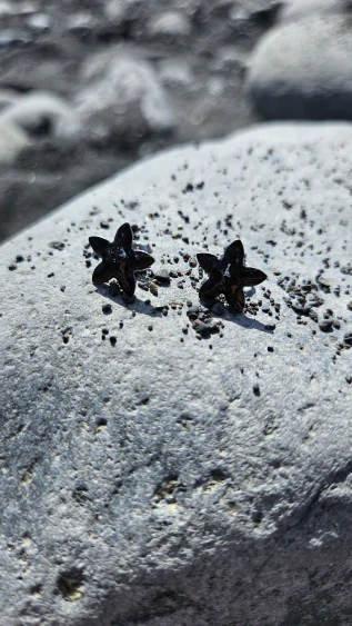 Formosa - náušnice pecky stříbrné barvy kytičky s metalickými plátky